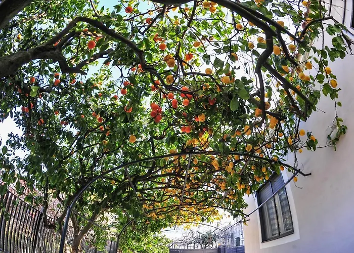 B&B Guest ArmonieAlbergo